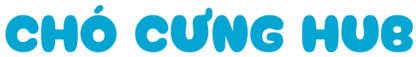logo chocunghub.com